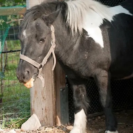 Heideggerhof Bolzano